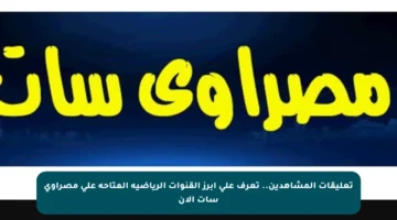 تعليقات المشاهدين.. تعرف على أبرز القنوات الرياضية المتاحة على مصراوي سات الآن